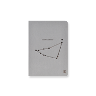 Caderno dos signos — Capricórnio