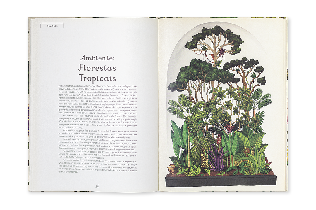 Botanicum | Livro Infantil | Edicare