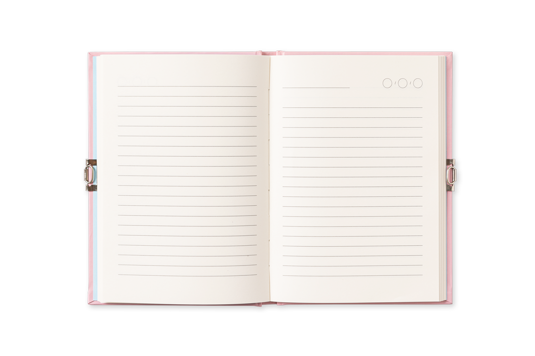 Diary - Spring | Livro Infantil + 7 anos | Edicare
