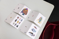 POSTCARD - FISHES - SYMPHORICHTHYS SPILURUS